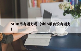 SHIB币有潜力吗（shib币有没有潜力）