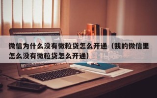 微信为什么没有微粒贷怎么开通（我的微信里怎么没有微粒贷怎么开通）