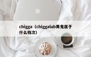 chigga（chiggalab黄鬼属于什么档次）