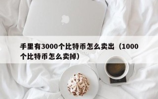 手里有3000个比特币怎么卖出（1000个比特币怎么卖掉）