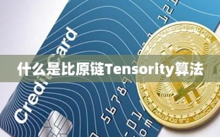 什么是比原链Tensority算法