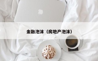 金融泡沫（房地产泡沫）