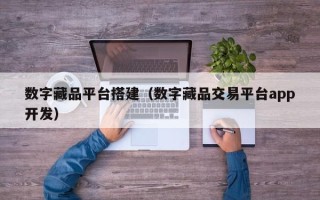 数字藏品平台搭建（数字藏品交易平台app开发）