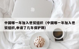 中国哪一年加入世贸组织（中国哪一年加入世贸组织,申请了几年保护期）