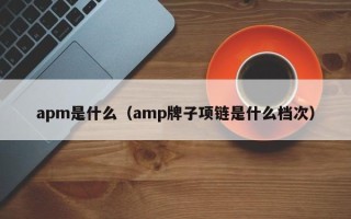 apm是什么（amp牌子项链是什么档次）