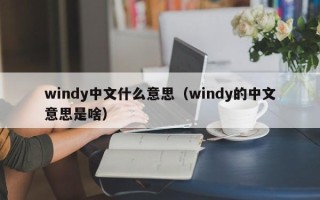 windy中文什么意思（windy的中文意思是啥）