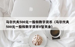 马尔代夫500元一股和数字货币（马尔代夫500元一股和数字货币V智天金）