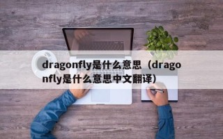 dragonfly是什么意思（dragonfly是什么意思中文翻译）