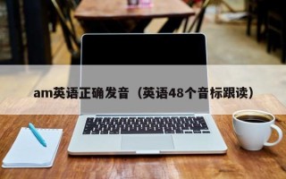 am英语正确发音（英语48个音标跟读）