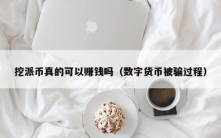 挖派币真的可以赚钱吗（数字货币被骗过程）