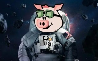 pig币下载入口最新 pig币app下载