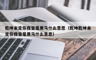 乾坤未定你我皆是黑马什么意思（乾坤乾坤未定你我皆是黑马什么意思）