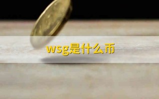 wsg是什么币？ wsg代币简介