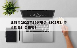 比特币2023年25万美金（202年比特币能是什么价格）