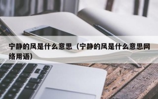 宁静的风是什么意思（宁静的风是什么意思网络用语）