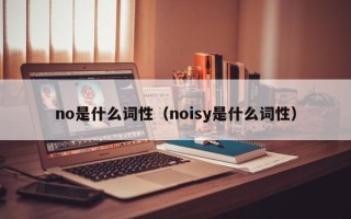 no是什么词性（noisy是什么词性）