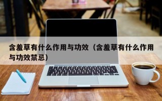 含羞草有什么作用与功效（含羞草有什么作用与功效禁忌）