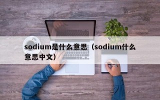 sodium是什么意思（sodium什么意思中文）