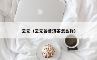 云元（云元谷普洱茶怎么样）