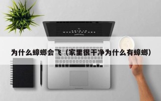 为什么蟑螂会飞（家里很干净为什么有蟑螂）