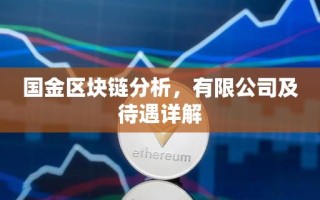 国金区块链分析，有限公司及待遇详解