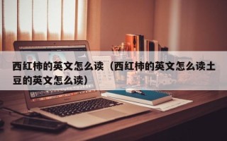 西红柿的英文怎么读（西红柿的英文怎么读土豆的英文怎么读）