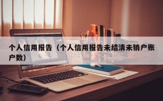 个人信用报告（个人信用报告未结清未销户账户数）