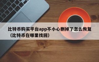 比特币购买平台app不小心删掉了怎么恢复（比特币在哪里找回）