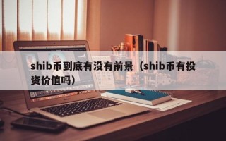 shib币到底有没有前景（shib币有投资价值吗）