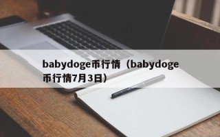 babydoge币行情（babydoge币行情7月3日）