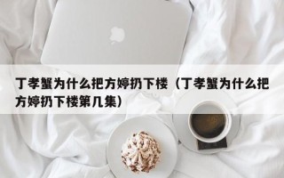 丁孝蟹为什么把方婷扔下楼（丁孝蟹为什么把方婷扔下楼第几集）