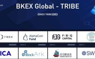 2022BKEX买卖所Tribe科普介绍，2022TRIBE详细说明