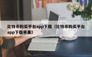 比特币购买平台app下载（比特币购买平台app下载苹果）