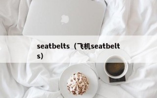 seatbelts（飞机seatbelts）