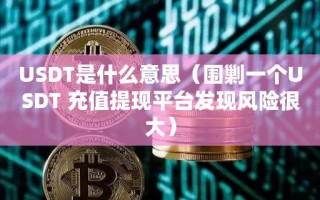 USDT是什么意思（围剿一个USDT 充值提现平台发现风险很大）