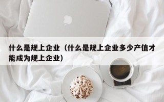 什么是规上企业（什么是规上企业多少产值才能成为规上企业）