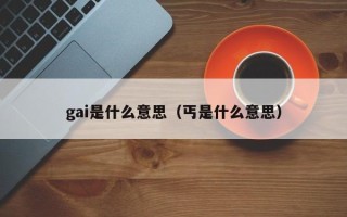 gai是什么意思（丐是什么意思）