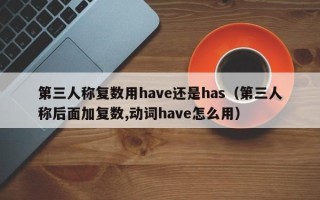 第三人称复数用have还是has（第三人称后面加复数,动词have怎么用）