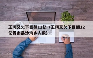 王珂又欠下巨额12亿（王珂又欠下巨额12亿贵南县沙沟乡人数）