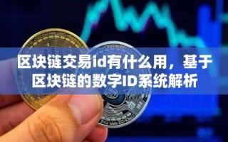 区块链交易id有什么用，基于区块链的数字ID系统解析