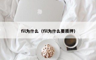 fil为什么（fil为什么要质押）