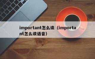 important怎么读（important怎么读语音）