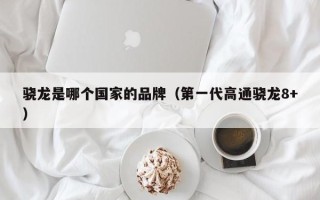 骁龙是哪个国家的品牌（第一代高通骁龙8+）