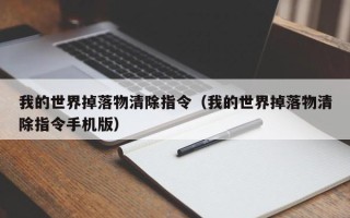 我的世界掉落物清除指令（我的世界掉落物清除指令手机版）