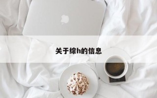 关于综h的信息