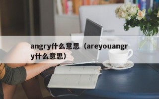 angry什么意思（areyouangry什么意思）