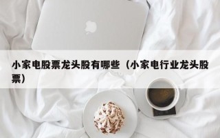 小家电股票龙头股有哪些（小家电行业龙头股票）