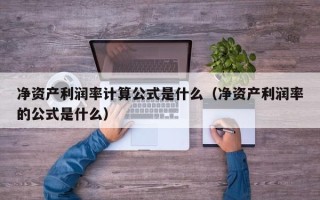 净资产利润率计算公式是什么（净资产利润率的公式是什么）