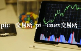 pic币交易所 pi币cnex交易所