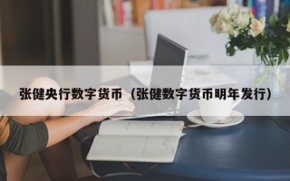 张健央行数字货币（张健数字货币明年发行）